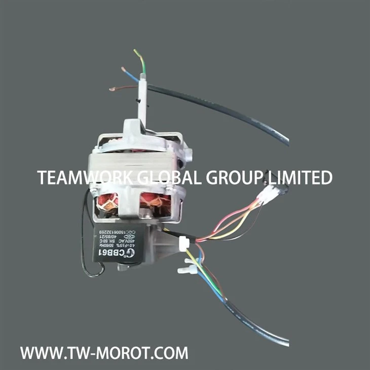 Dual Voltage Fan Motor