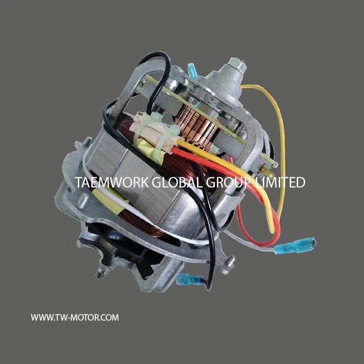 Fast Mixer Motor