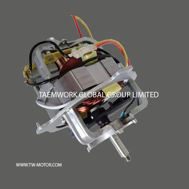 Fast Mixer Motor