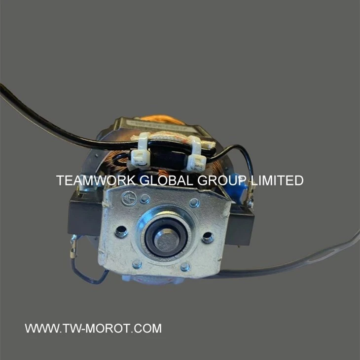 Quiet Blender Motor For Juicing